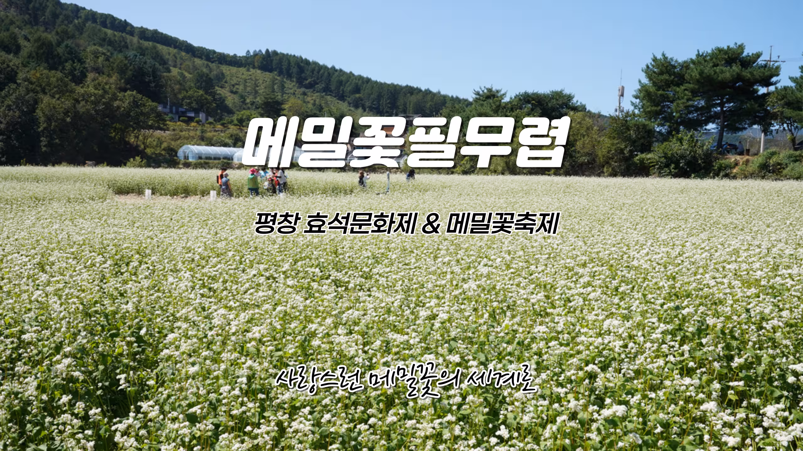 메인화면