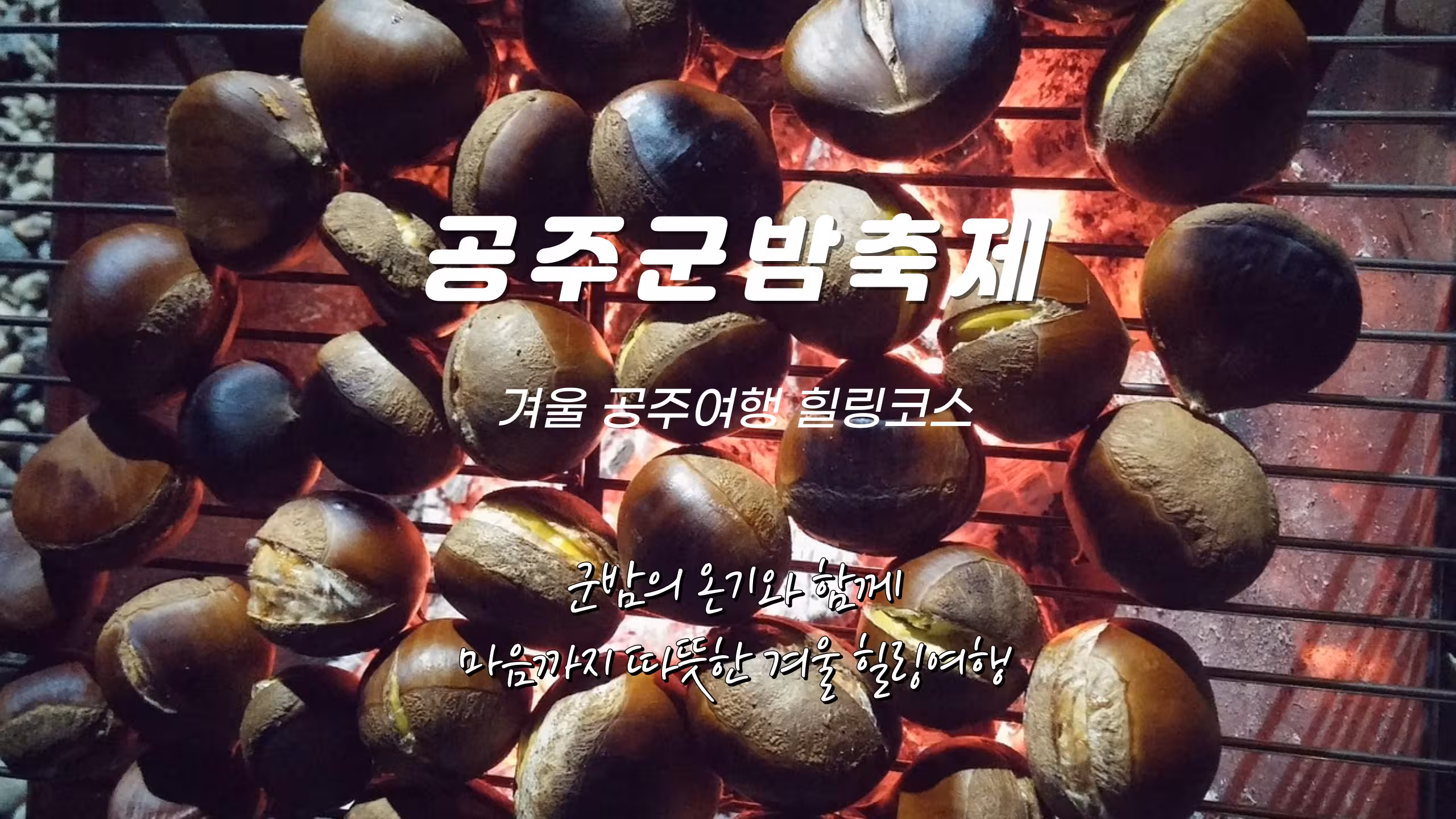[마감][공주군밤축제] 군밤과 함께 따뜻한 겨울여행 : 안양출발 / 디지털온누리상품권, 문화누리카드, 안양사랑페이 사용가능