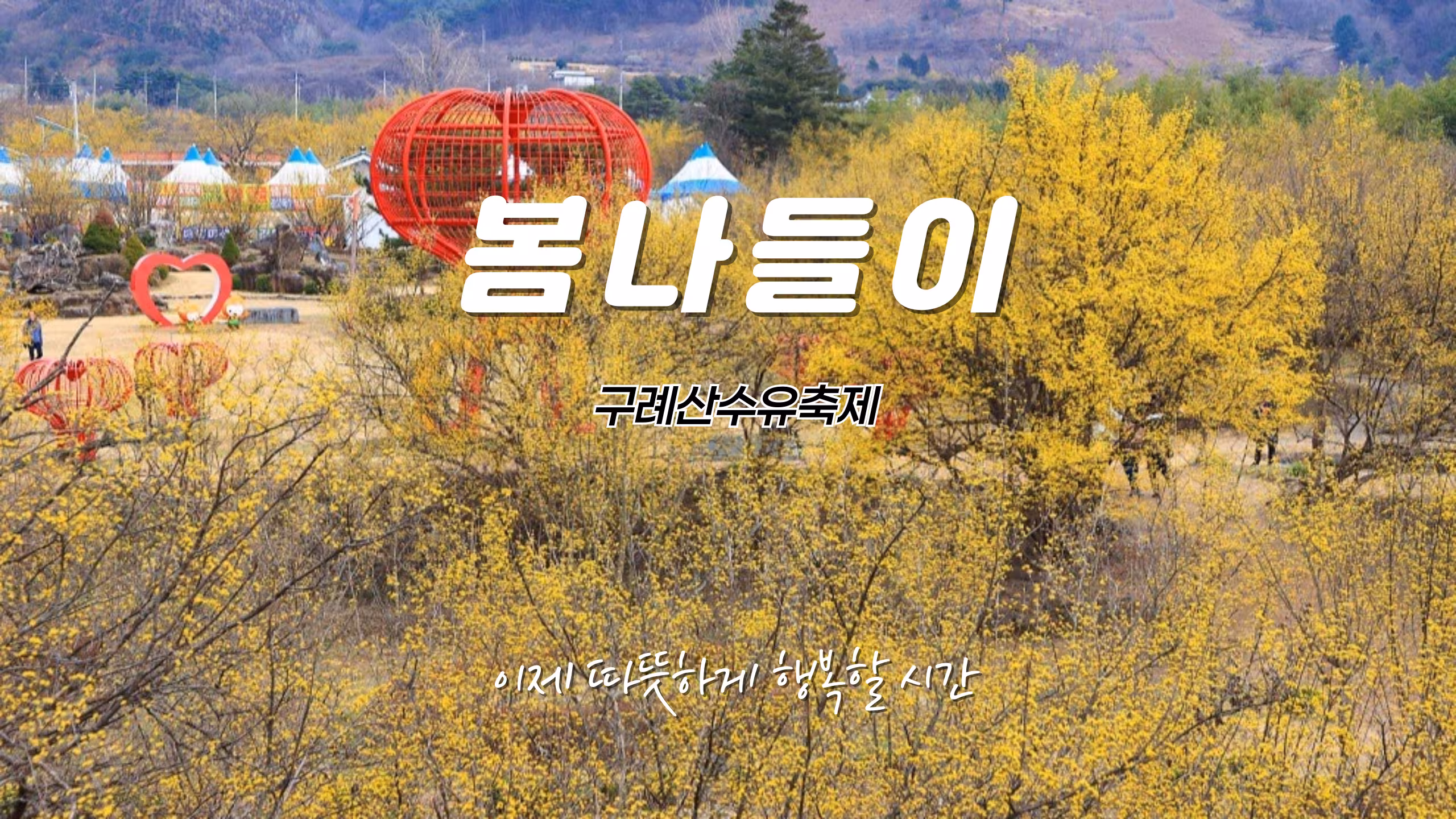 [마감][구례산수유축제] 봄맞이 꽃놀이 힐링투어 : 안양출발 패키지여행 상품입니다.